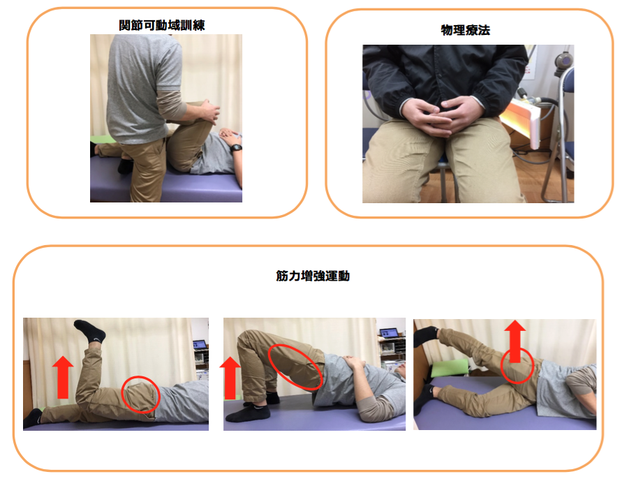 股関節の可動域訓練 物理療法 筋力増強運動